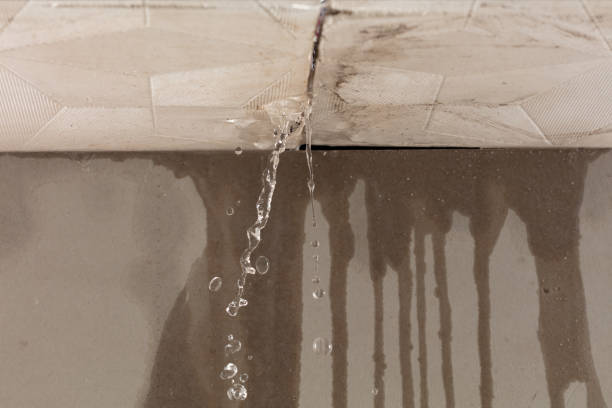 Professional Sewage Cleanup technician working in Ossipee, NH